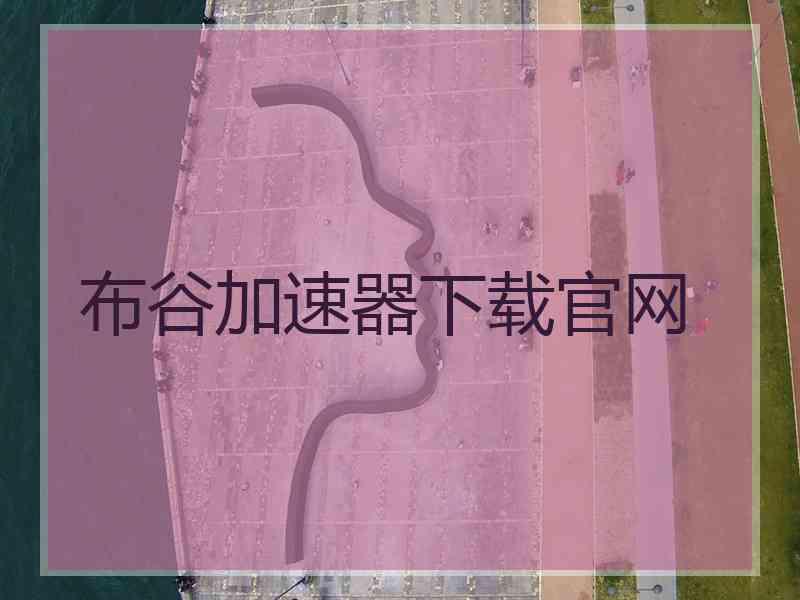 布谷加速器下载官网