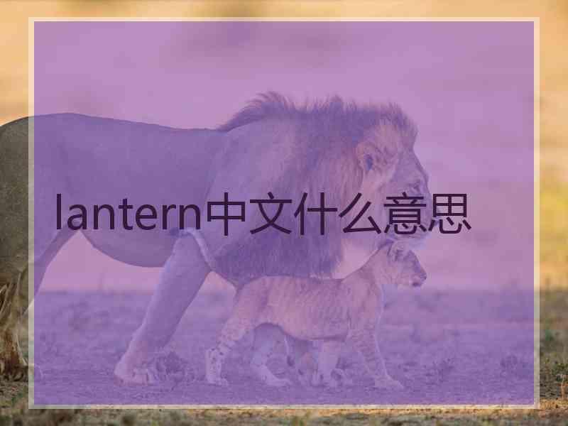 lantern中文什么意思