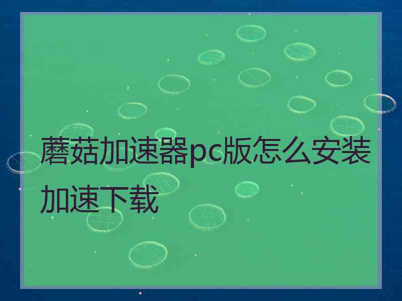 蘑菇加速器pc版怎么安装加速下载