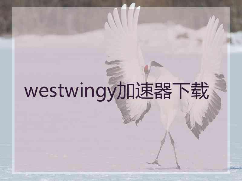 westwingy加速器下载