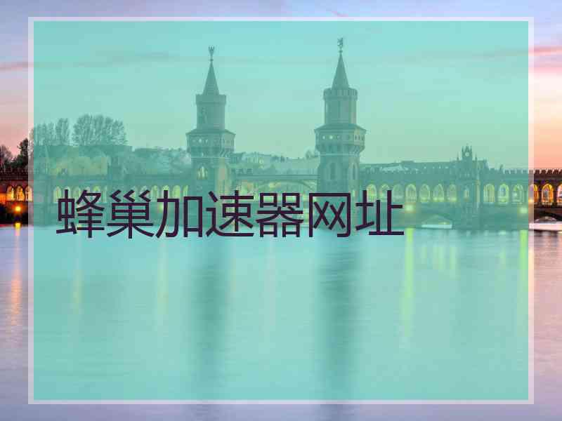 蜂巢加速器网址