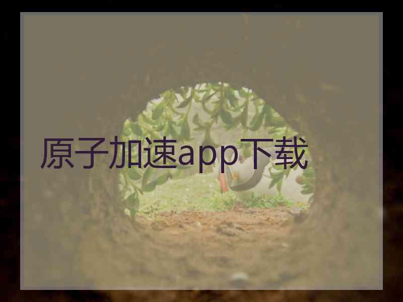 原子加速app下载