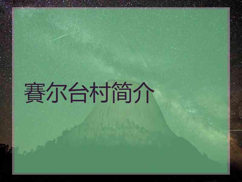 賽尔台村简介