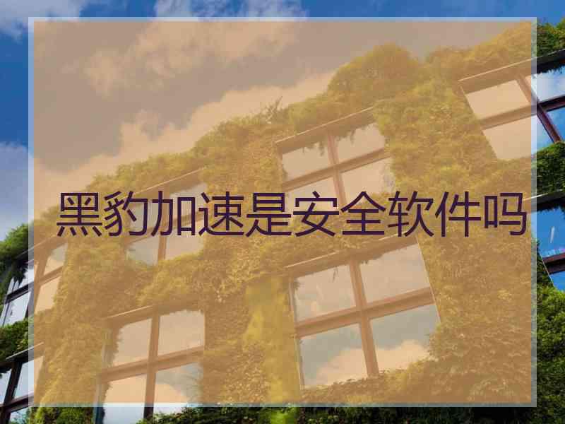 黑豹加速是安全软件吗