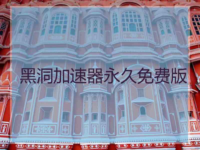 黑洞加速器永久免费版
