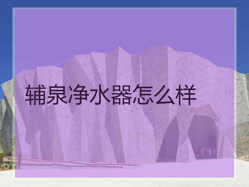 辅泉净水器怎么样