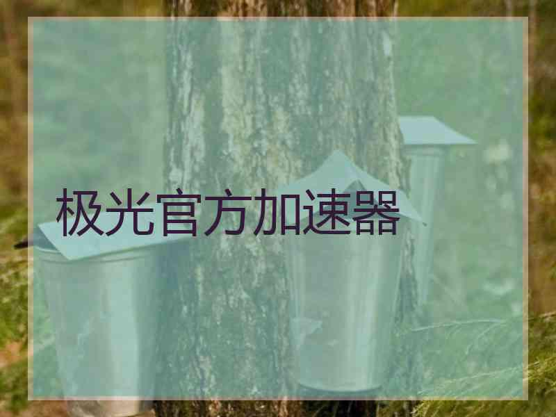 极光官方加速器