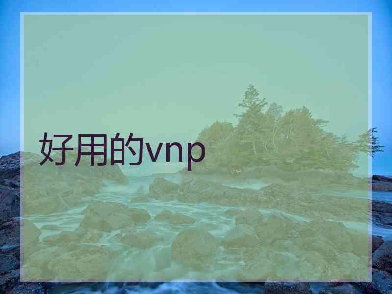 好用的vnp