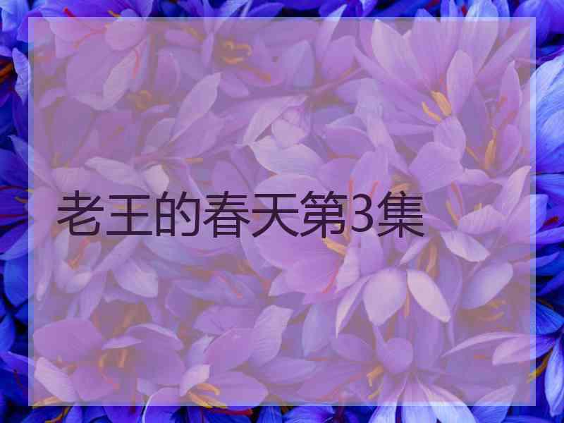 老王的春天第3集