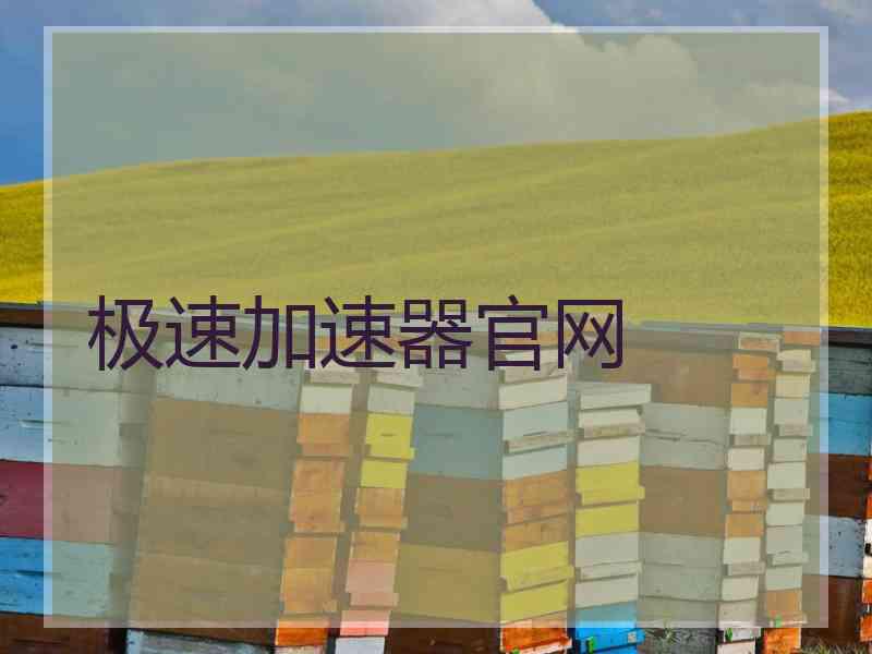 极速加速器官网