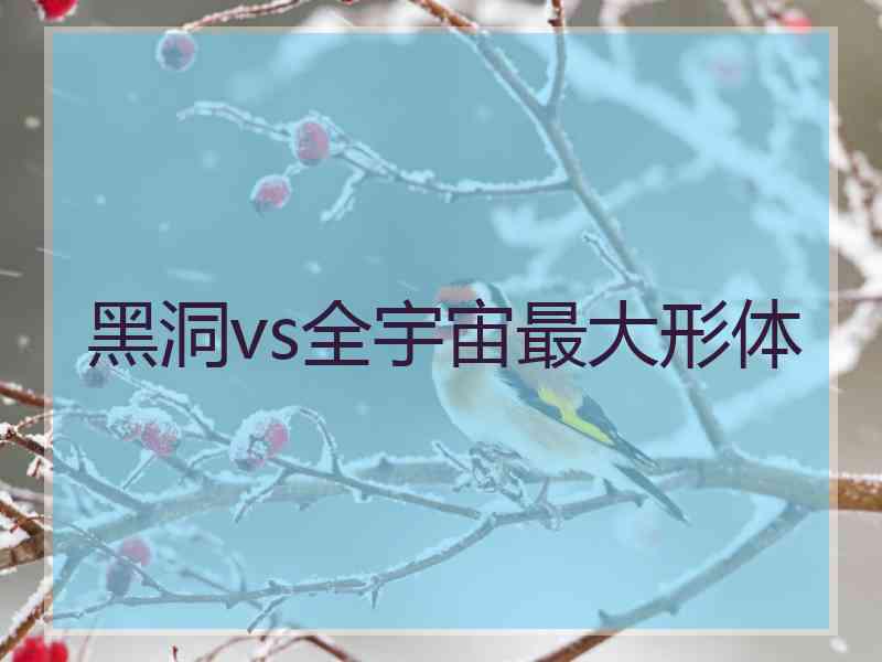 黑洞vs全宇宙最大形体