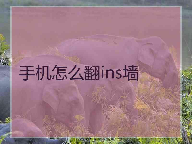 手机怎么翻ins墙