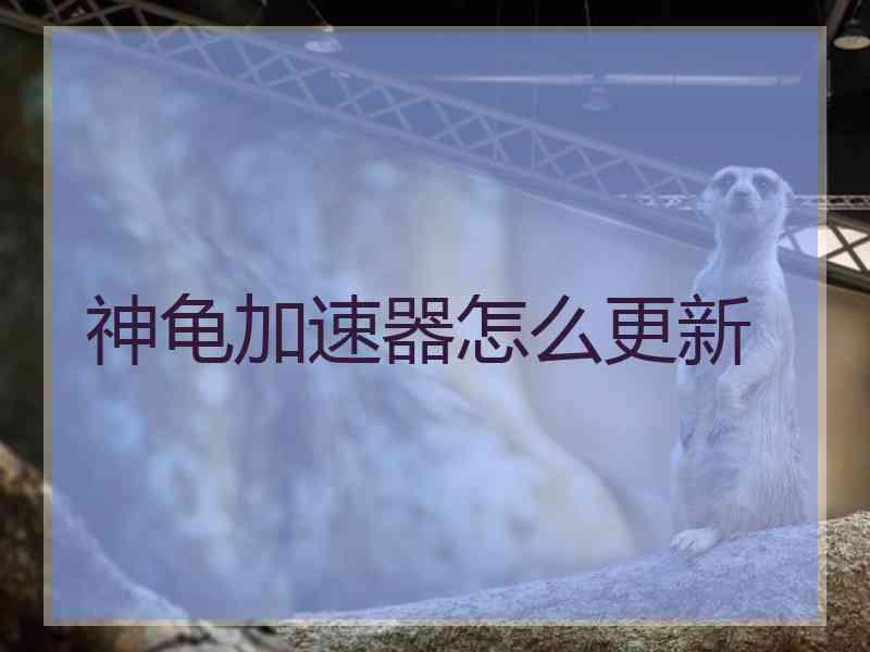 神龟加速器怎么更新