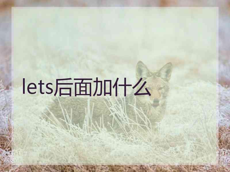lets后面加什么
