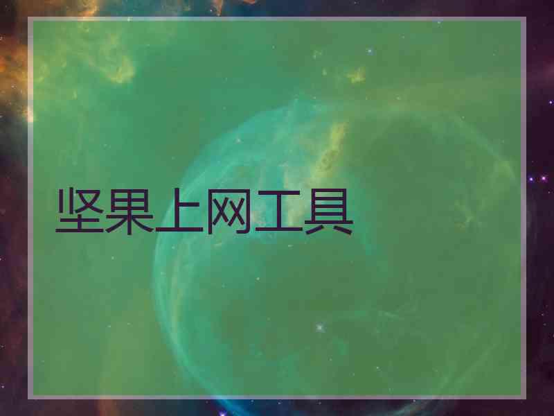 坚果上网工具
