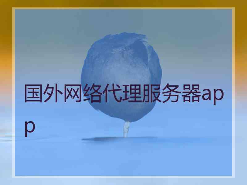 国外网络代理服务器app
