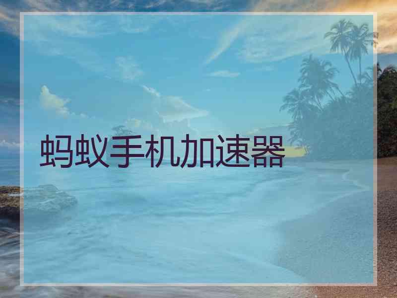 蚂蚁手机加速器