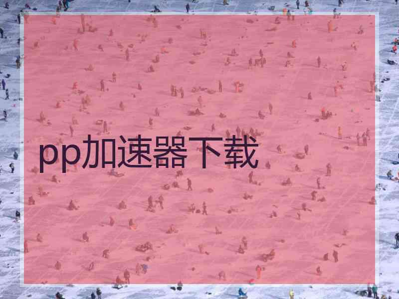 pp加速器下载