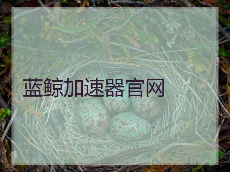 蓝鲸加速器官网