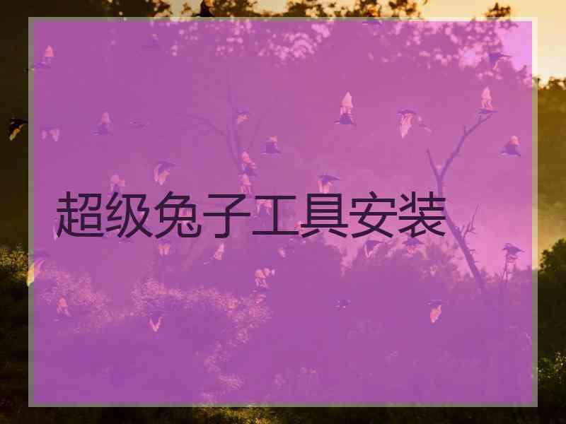 超级兔子工具安装