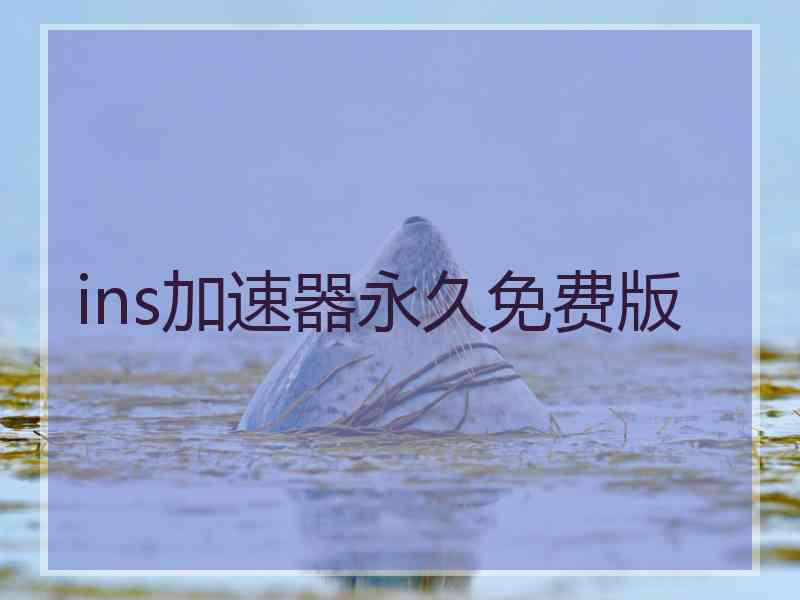 ins加速器永久免费版