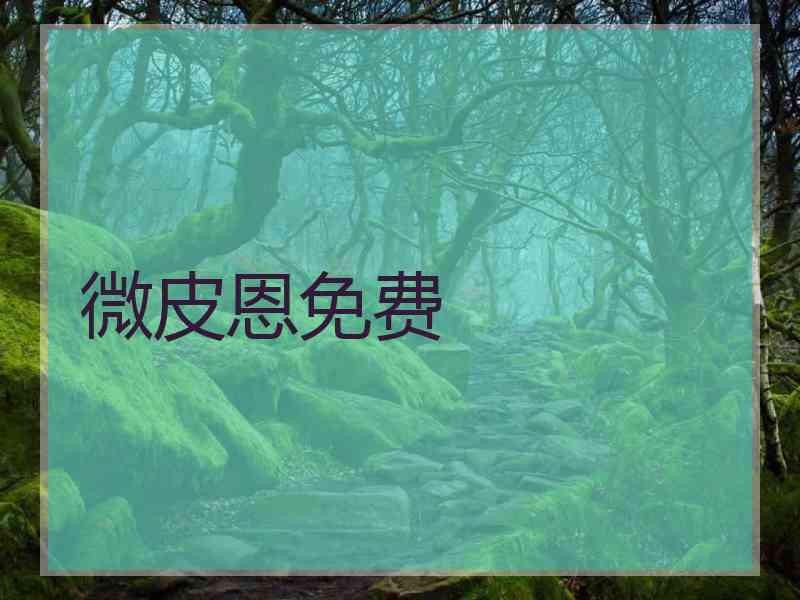 微皮恩免费