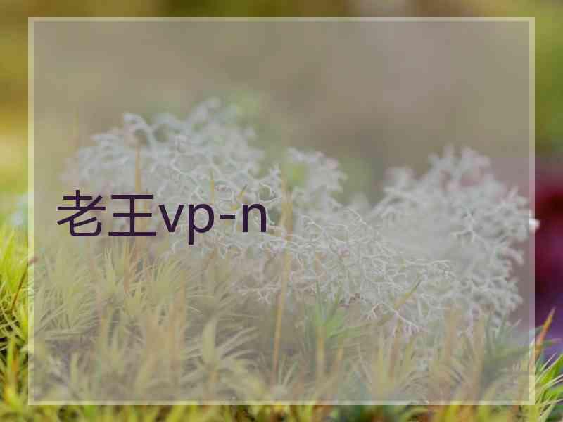 老王vp-n