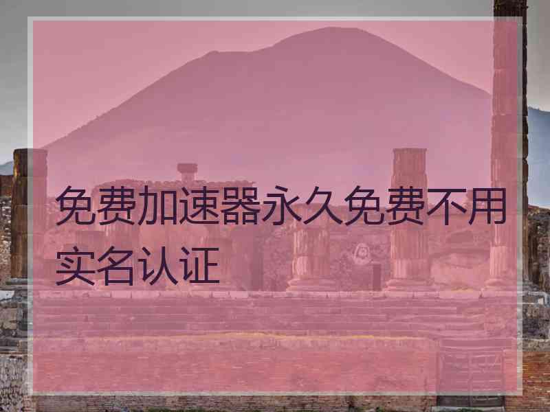 免费加速器永久免费不用实名认证