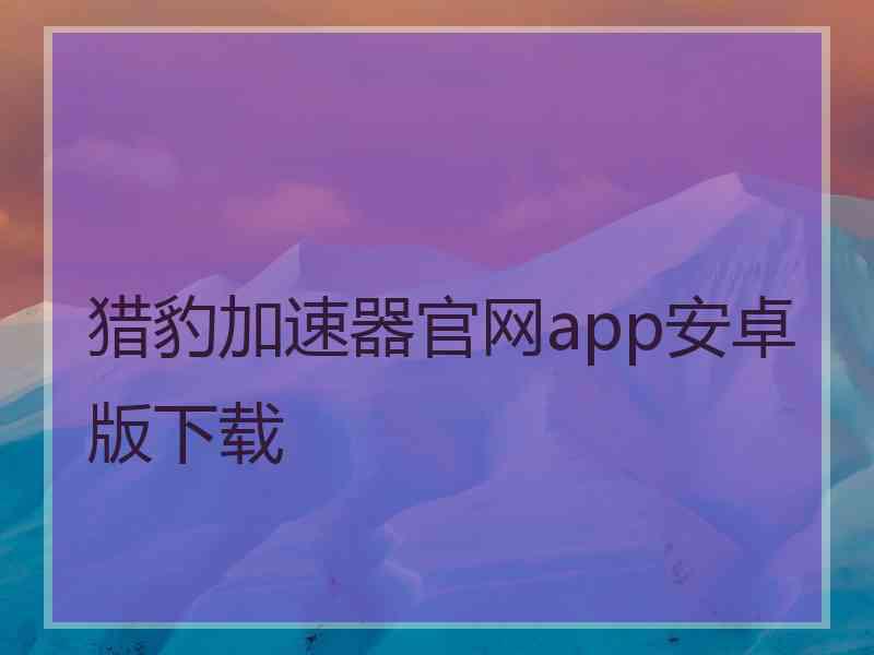 猎豹加速器官网app安卓版下载