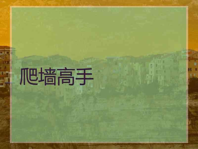 爬墙高手