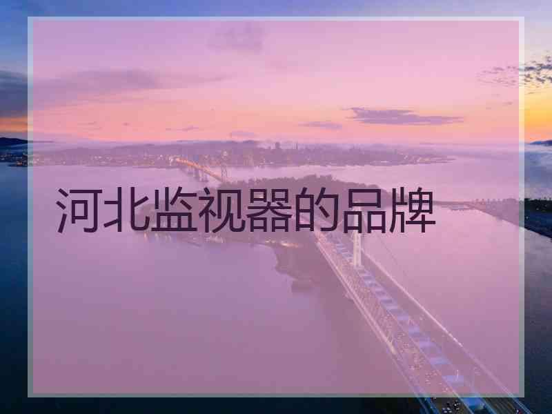 河北监视器的品牌