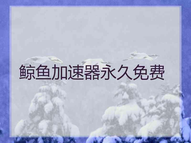 鲸鱼加速器永久免费