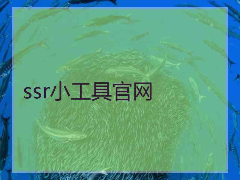 ssr小工具官网