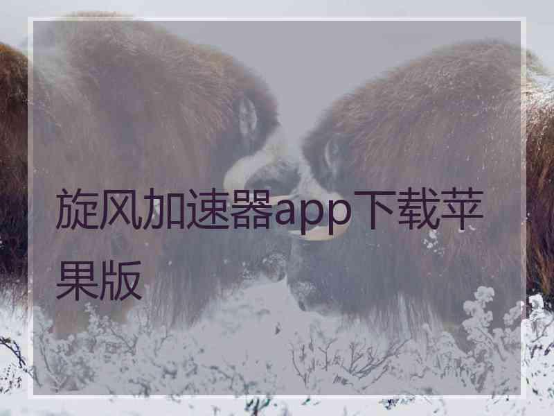 旋风加速器app下载苹果版