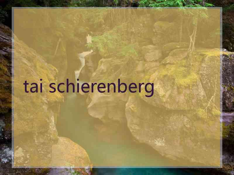 tai schierenberg