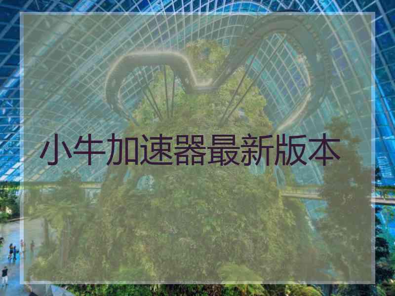 小牛加速器最新版本
