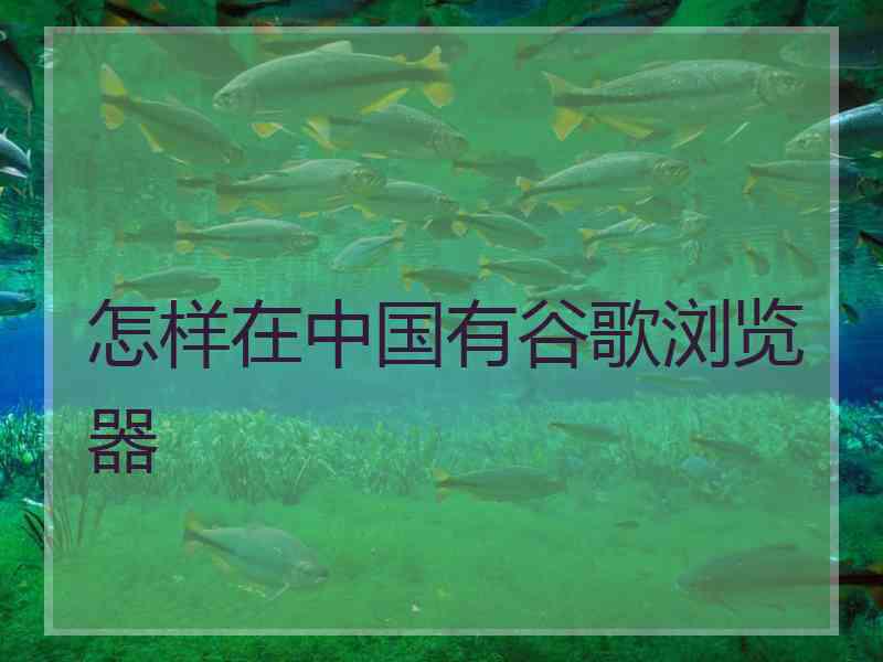 怎样在中国有谷歌浏览器