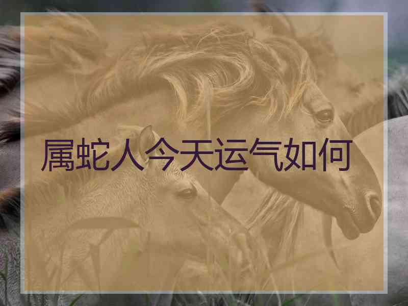 属蛇人今天运气如何