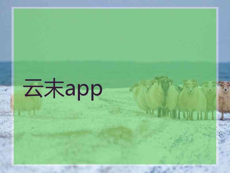 云末app