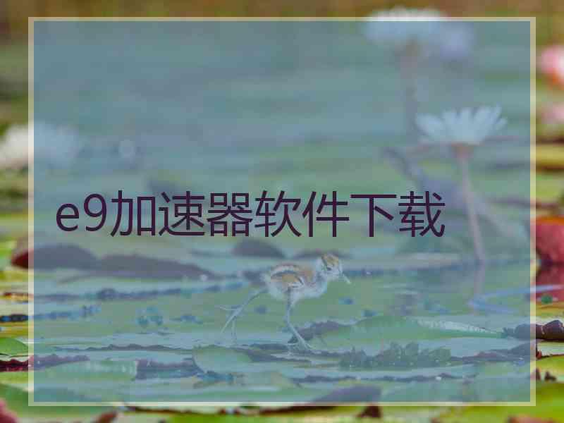e9加速器软件下载