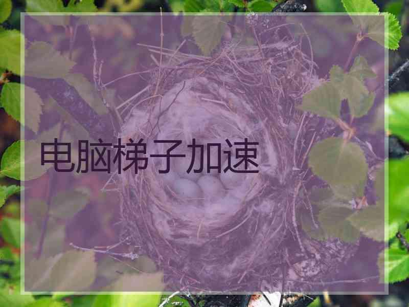电脑梯子加速