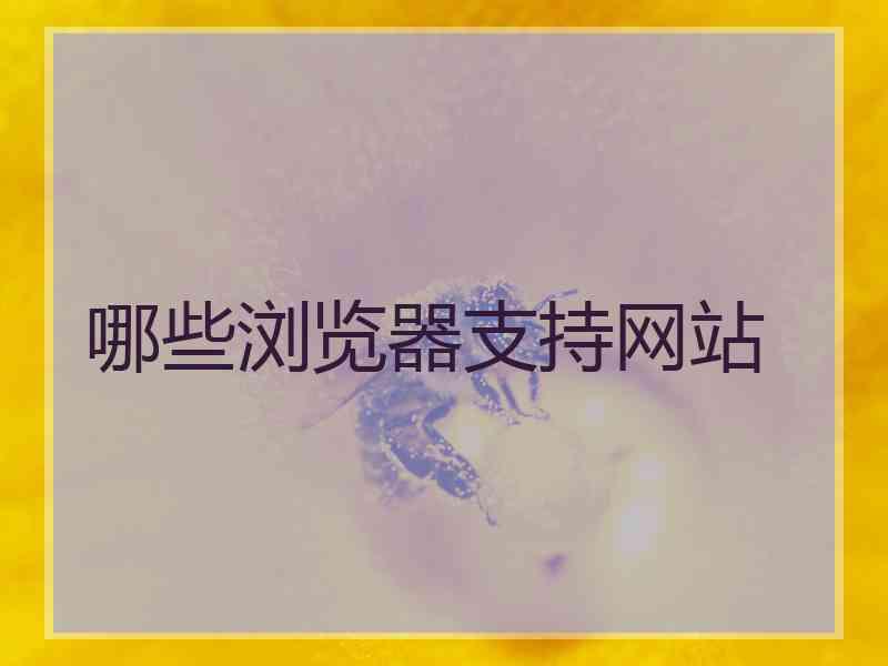 哪些浏览器支持网站