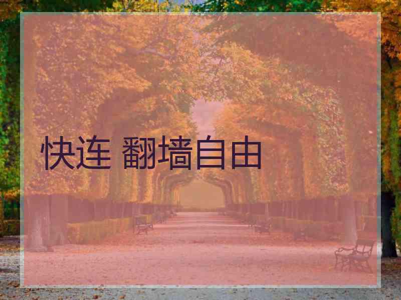 快连 翻墙自由