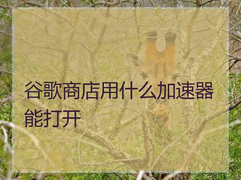 谷歌商店用什么加速器能打开