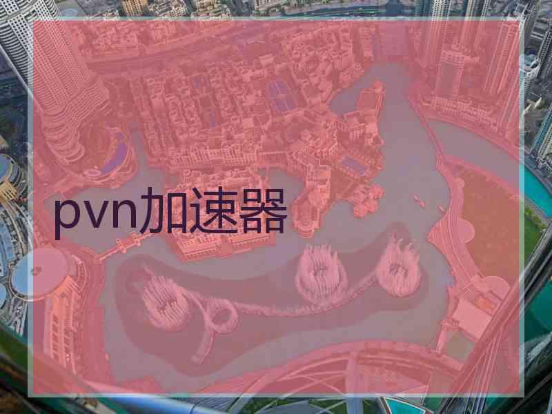 pvn加速器