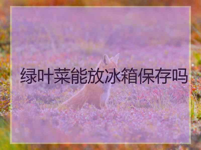 绿叶菜能放冰箱保存吗