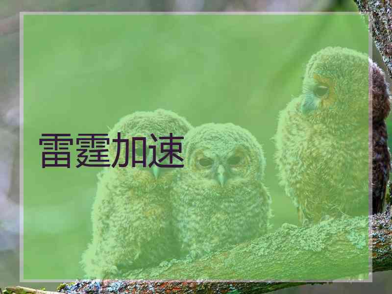 雷霆加速