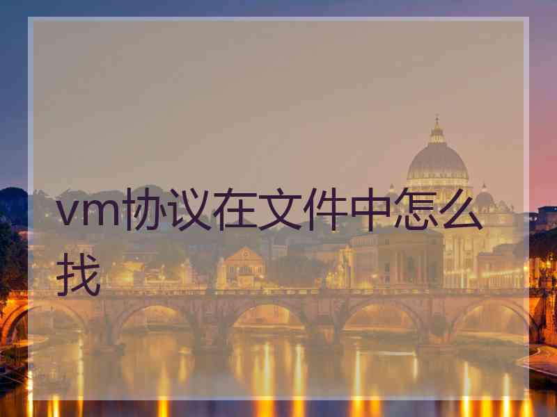vm协议在文件中怎么找