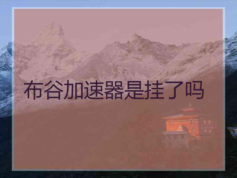 布谷加速器是挂了吗