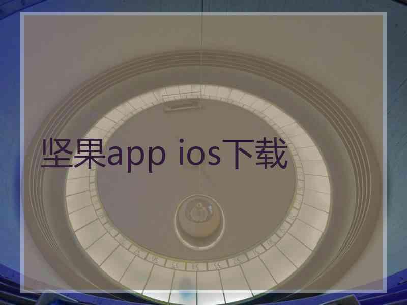 坚果app ios下载